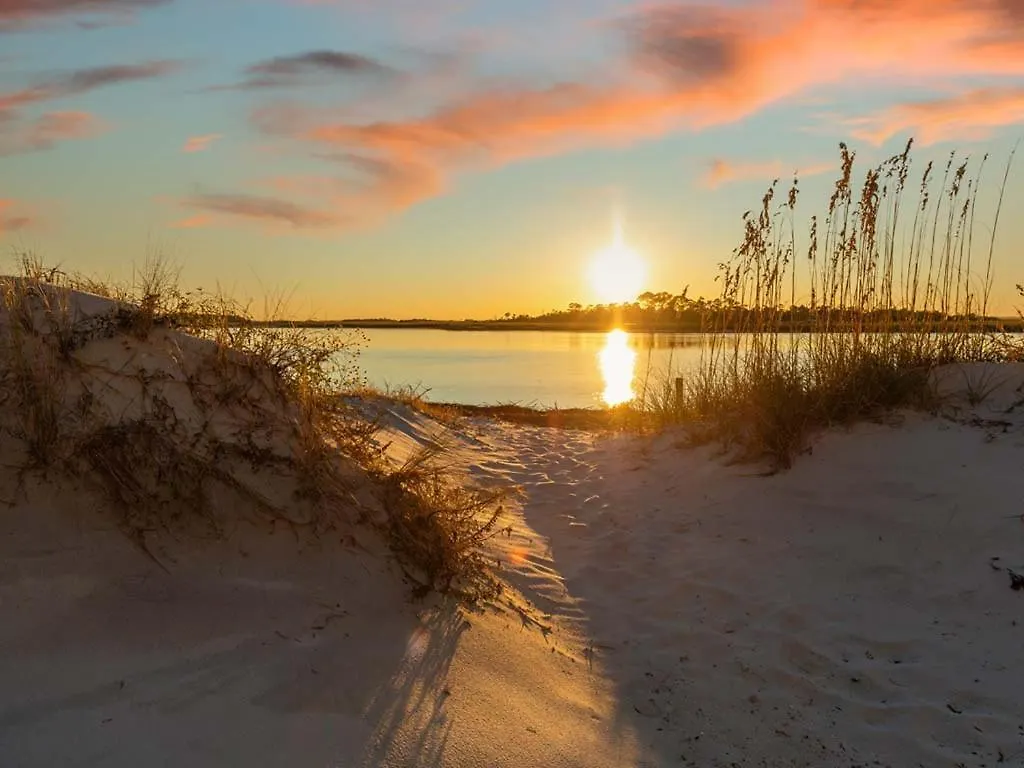 Gull * Tybee Island