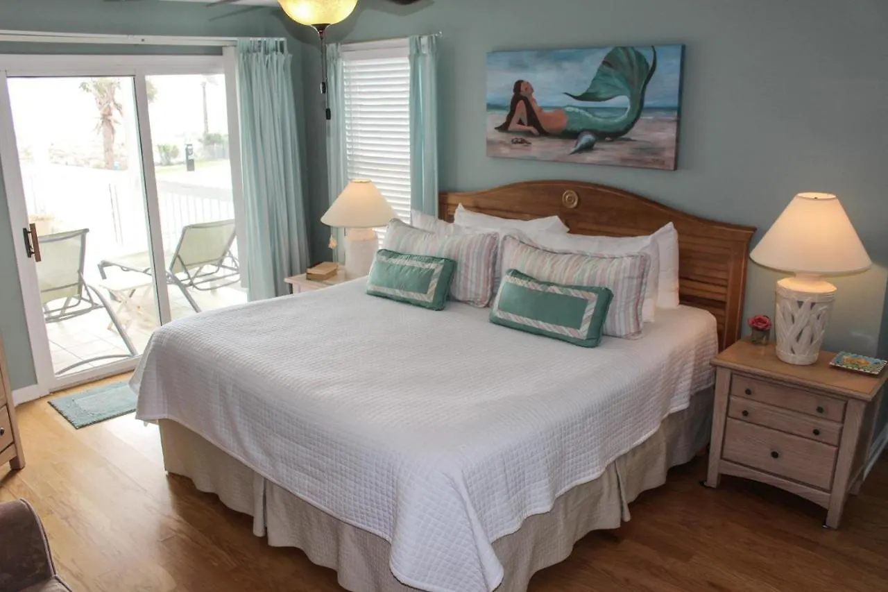 Dolphin Lookout Holiday home *