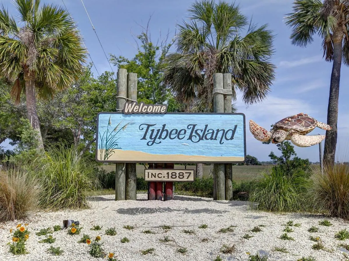 Tybee Tabby