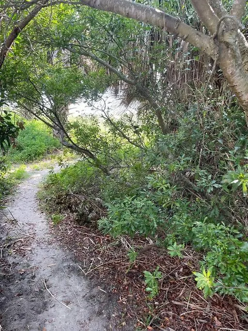Tybee Sunshine ~ 50 Steps 'till Toes In The