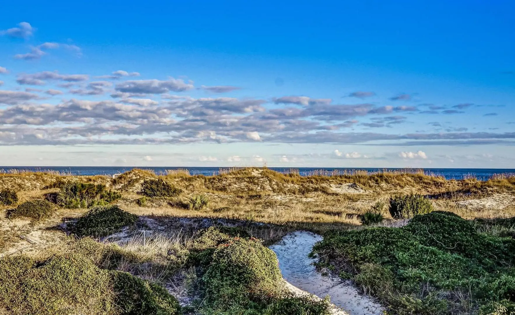 Ocean View Modern * טייבי איילנד