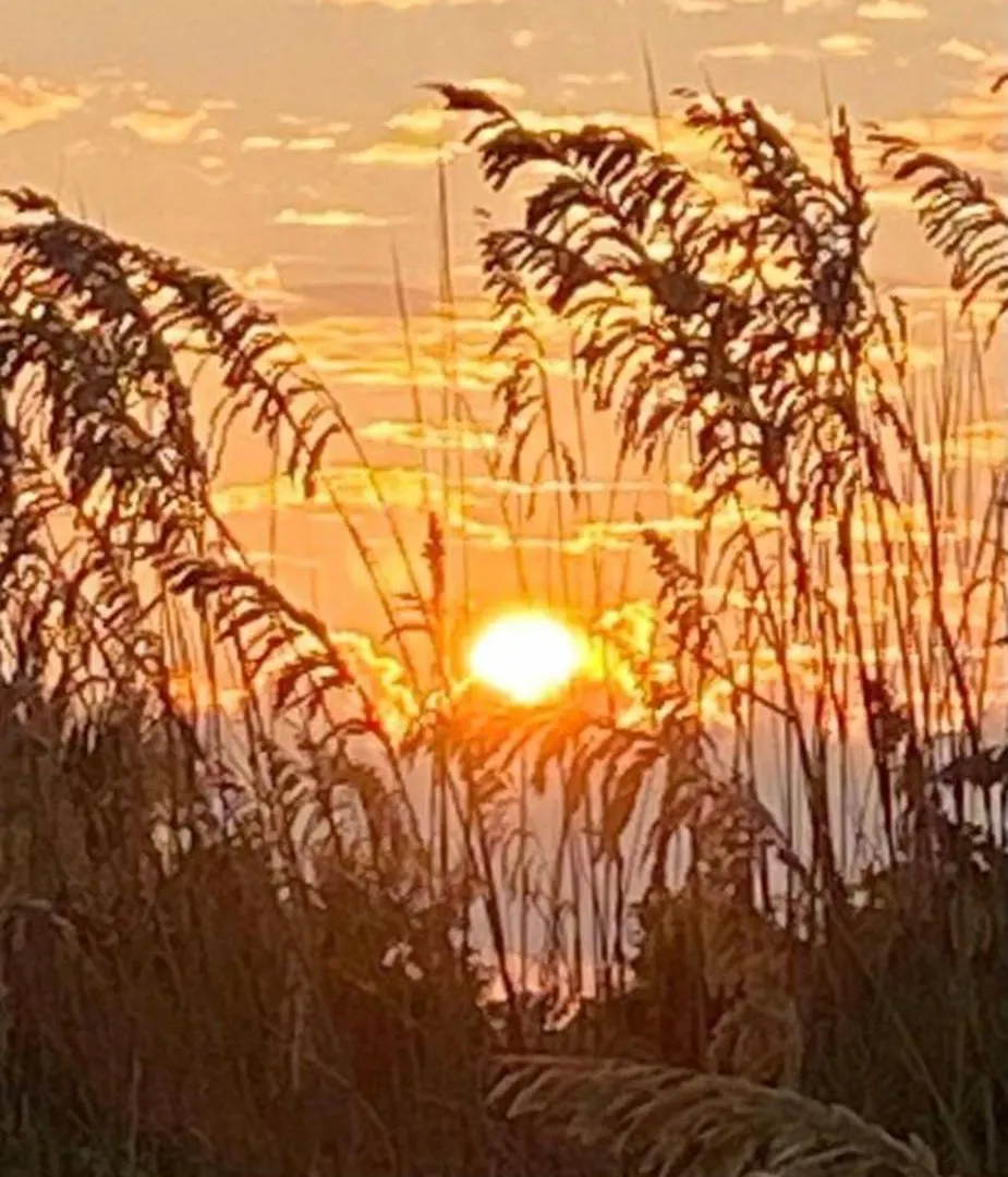 Grace - Charm Awaits Loyalty Program * Tybee Island