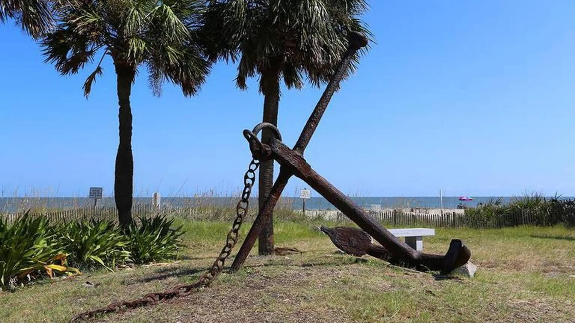 Salty Beaches -close To The Free Amenities Tybee Island