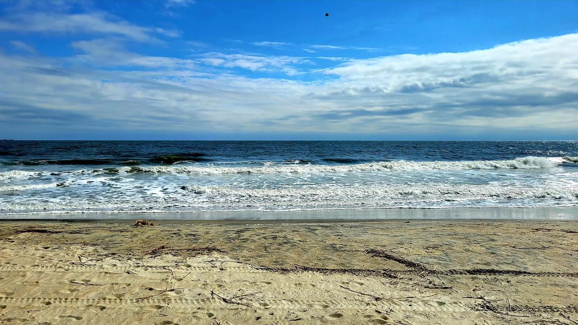 9 Shirley Road By Tybee Vacation Holiday home *