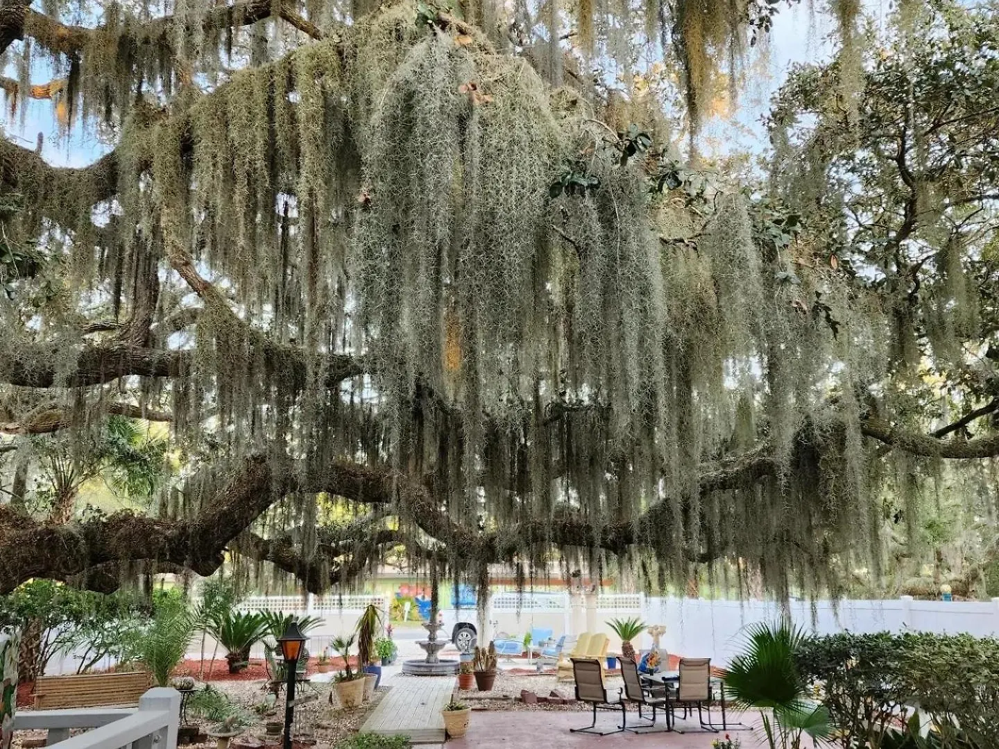 Tybee Island Inn Bed & Breakfast