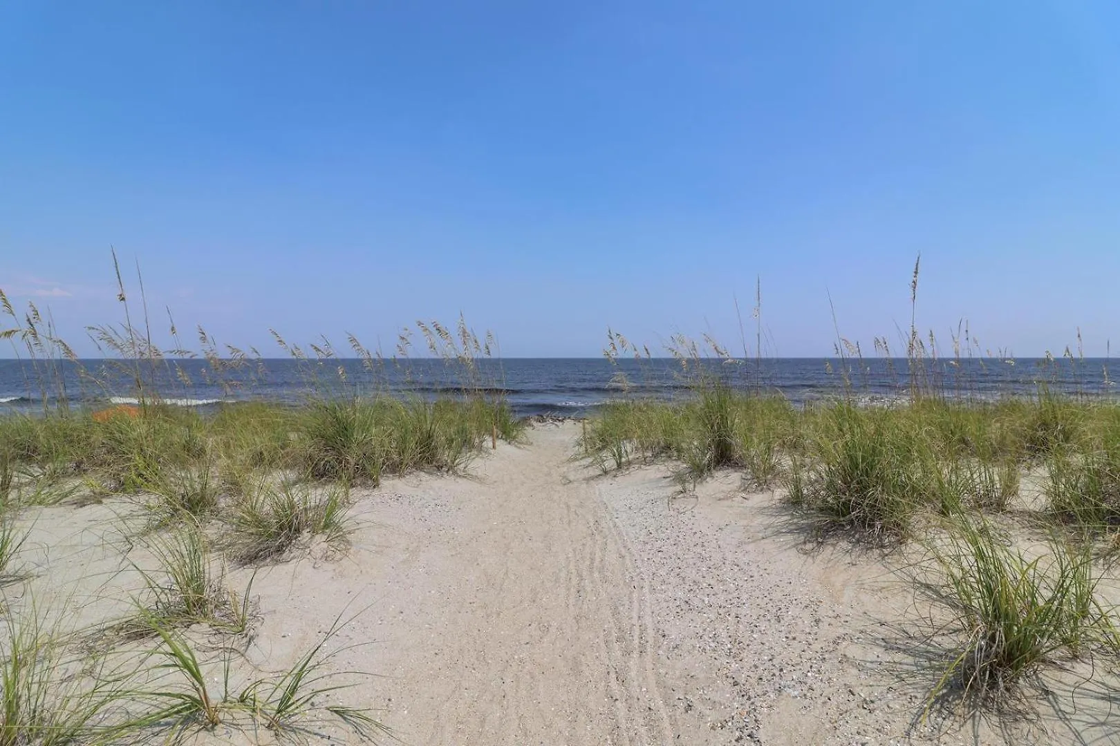 Melody * Tybee Island