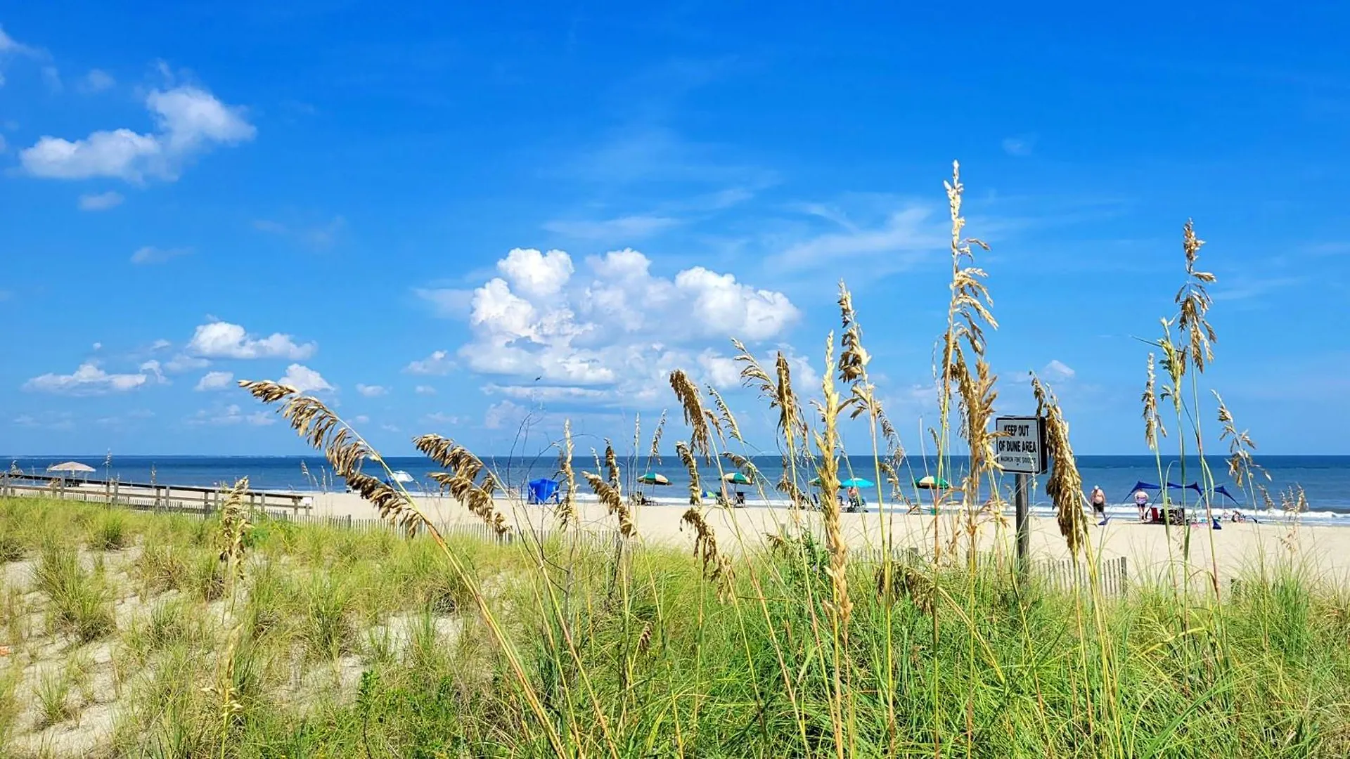 Desoto Club 210 By Tybee Vacation Holiday home *