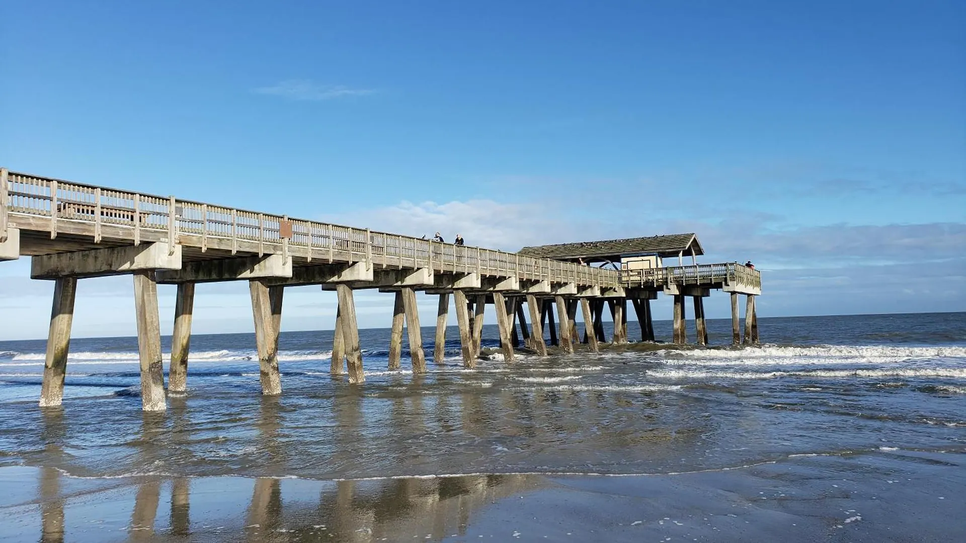 Dolphin Watch 01 By Tybee Vacation Holiday home *
