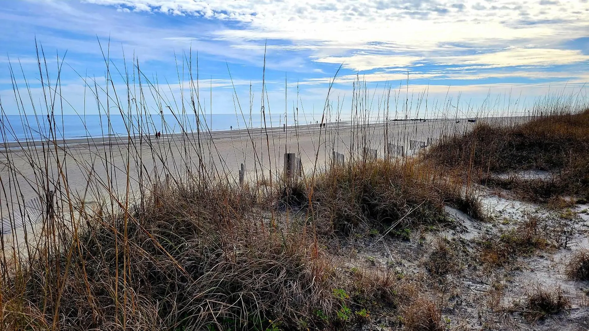 Sandpiper 103 By Tybee Vacation * Tybee Island