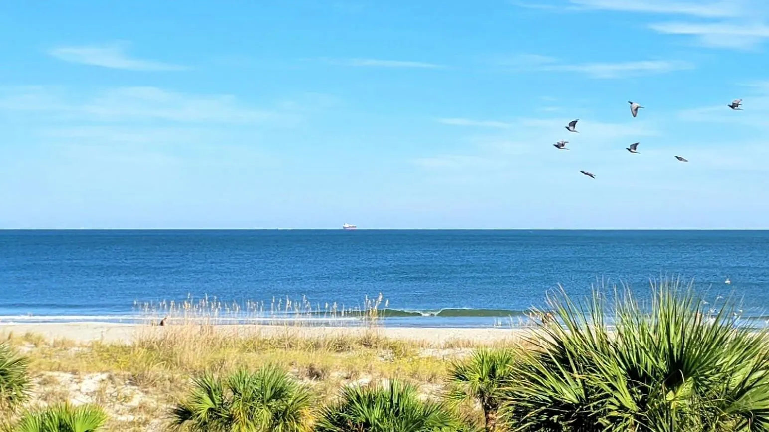South Ocean E 08 By Tybee Vacation Holiday home