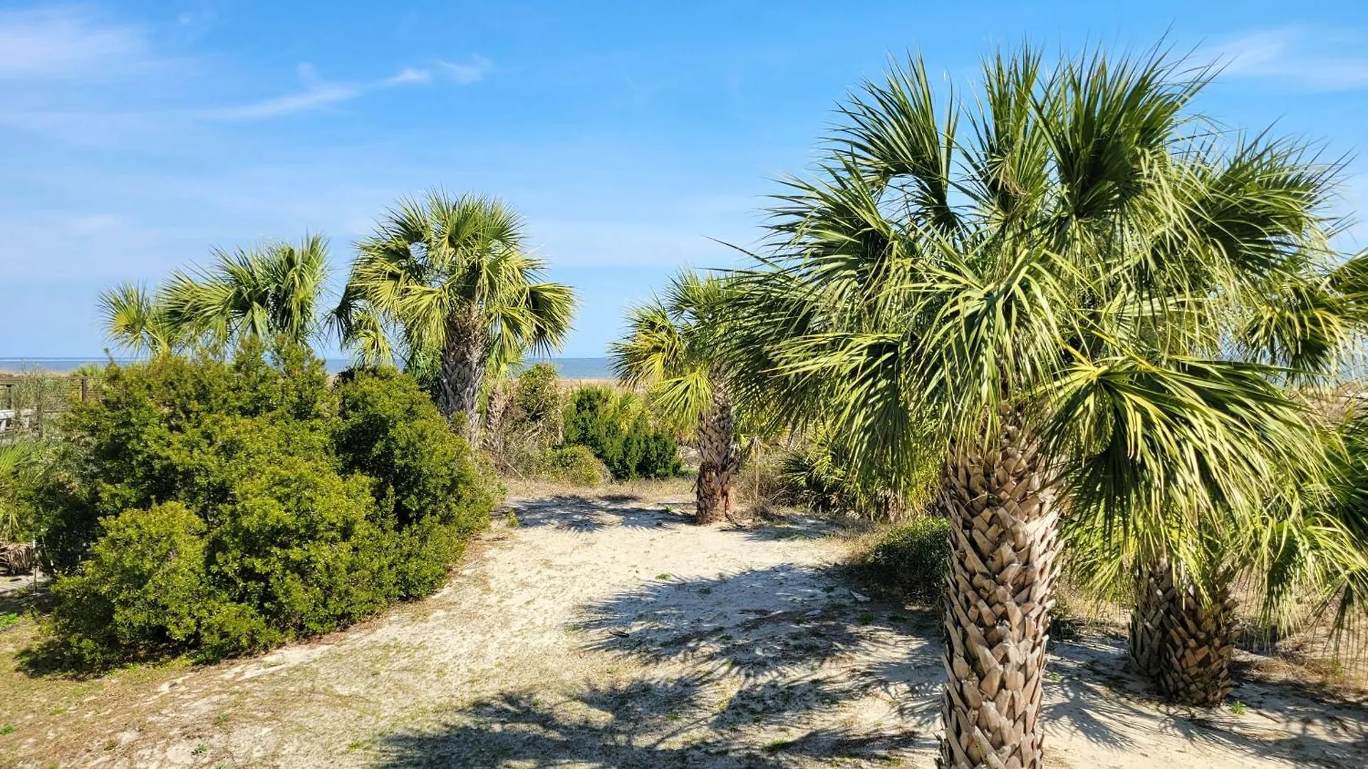 Screven 102 By Tybee Vacation Holiday home *
