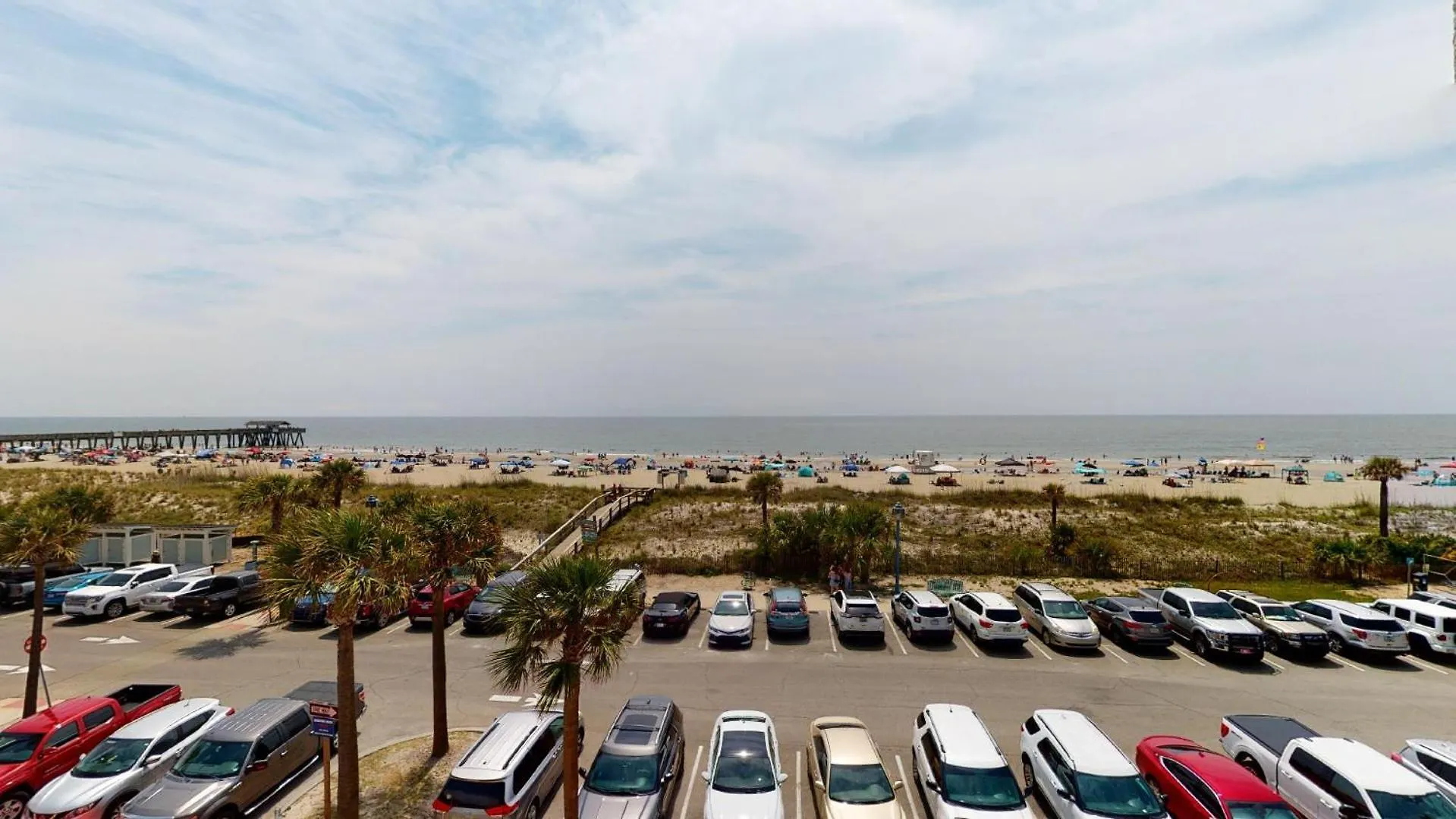 Dolphin Watch 09 By Tybee Vacation