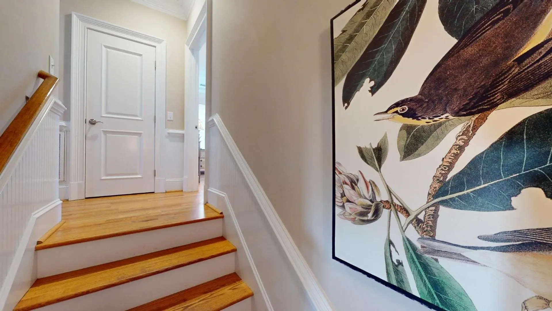The Turtle Ranch By Tybee Vacation Holiday home