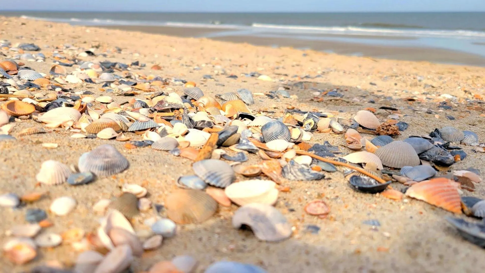 Ocean Song 334 By Tybee Vacation Holiday home *