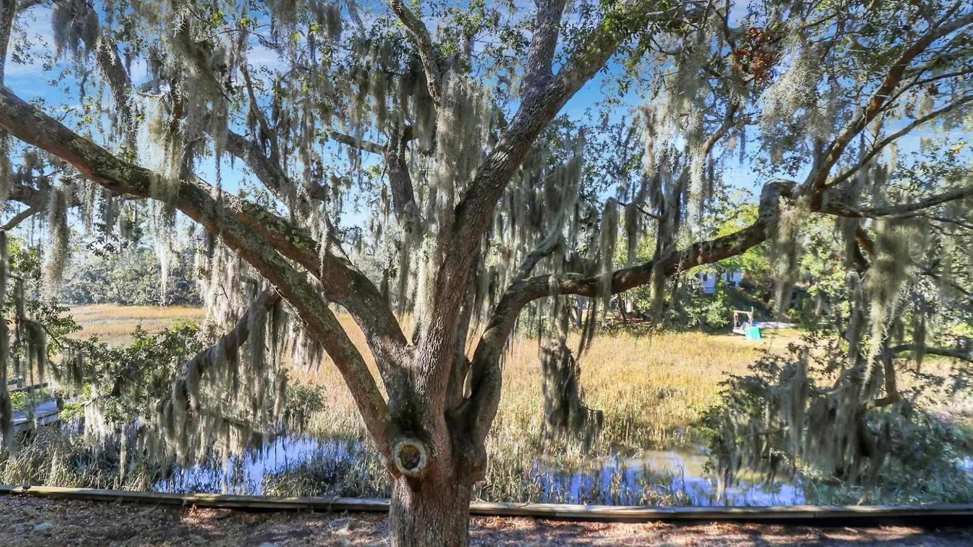Oyster Cove: Marsh View And Close To Everything Holiday home