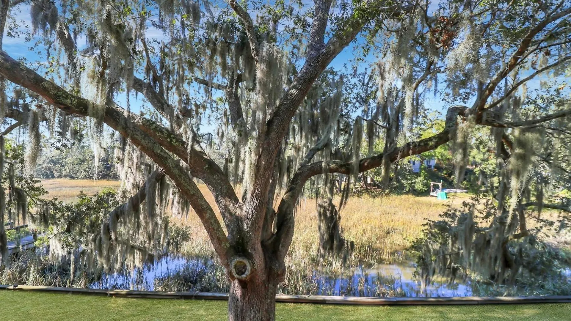 Oyster Cove: Marsh View And Close To Everything * Tybee Island