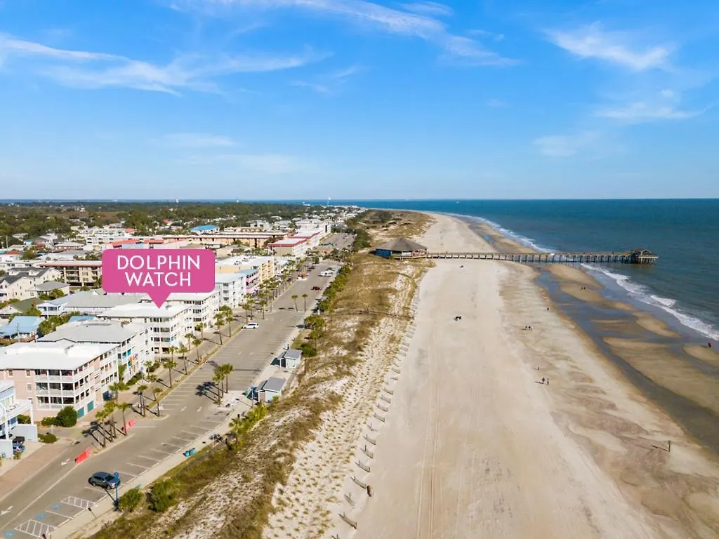 Dolphin Watch 7 Apartment