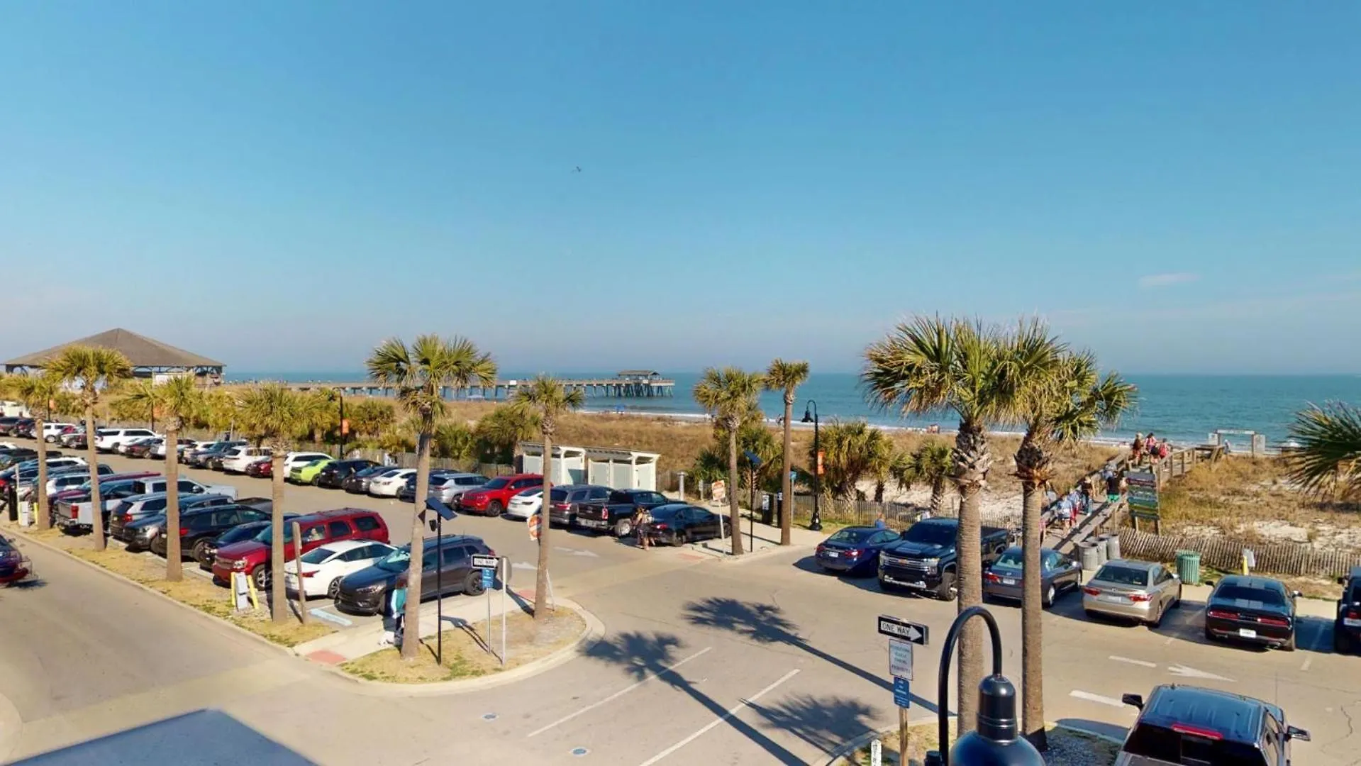 Dolphin Watch 05 By Tybee Vacation
