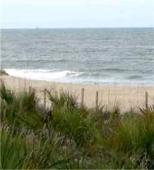 The Vue At Beachside Colony Apartment *