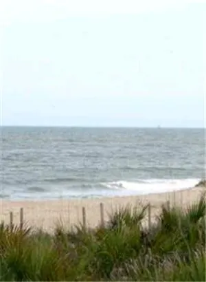 Ocean Song At Beachside Colony *