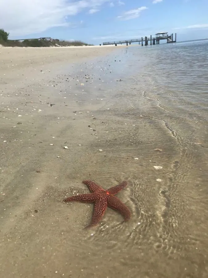 Tybee Hotel 3*