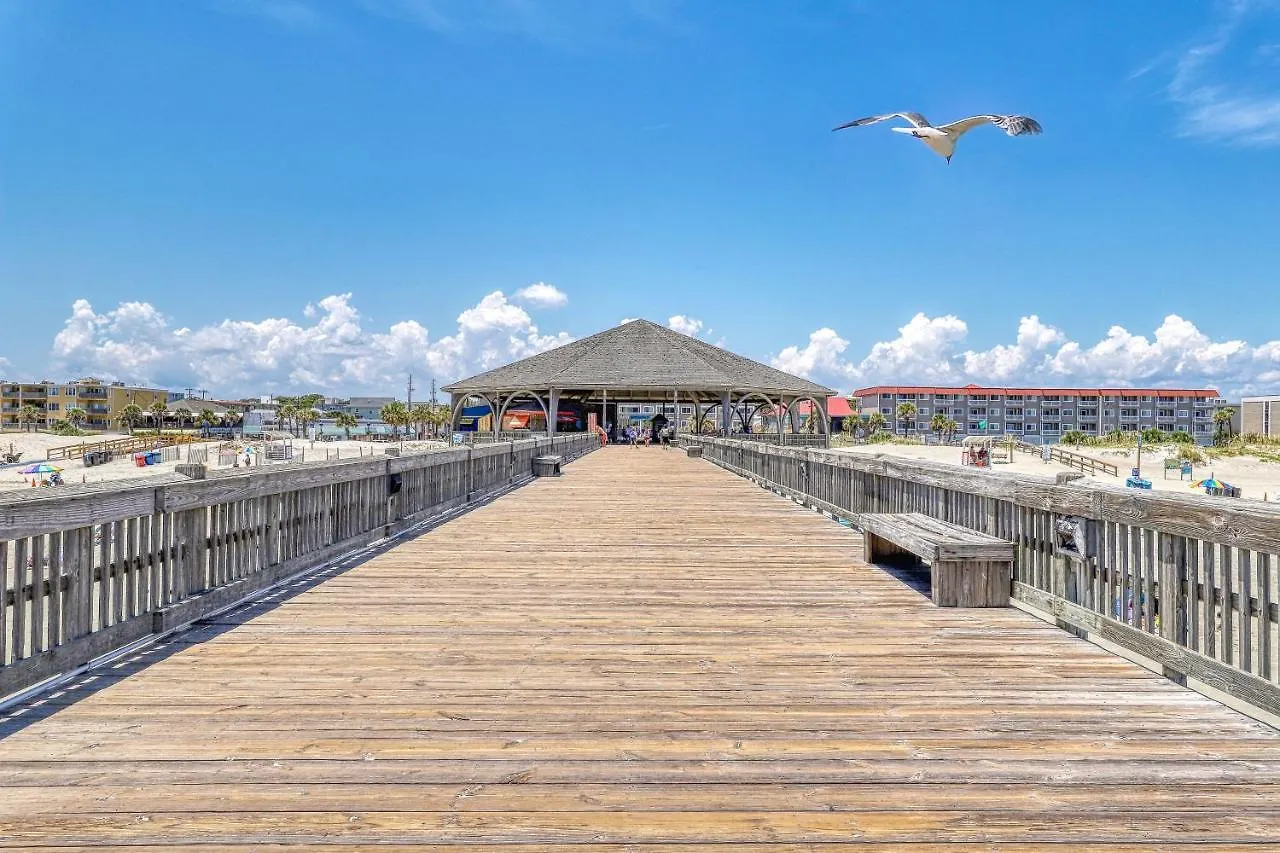Tybee Turtle *