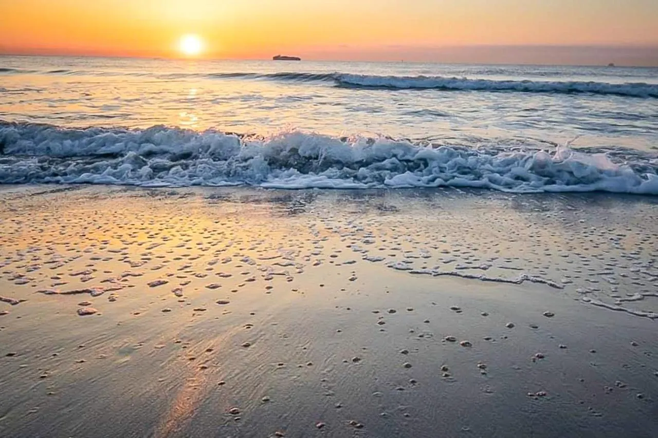 Paradise Hideaway Tybee Island