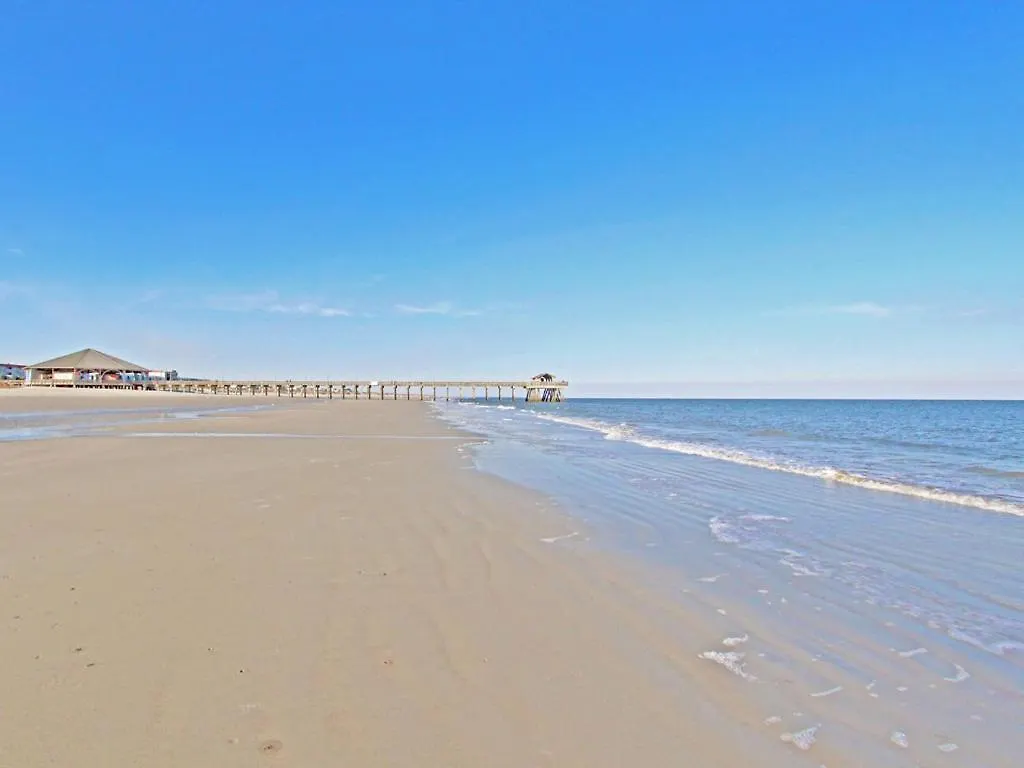 Dolphin Watch 6 * Tybee Island
