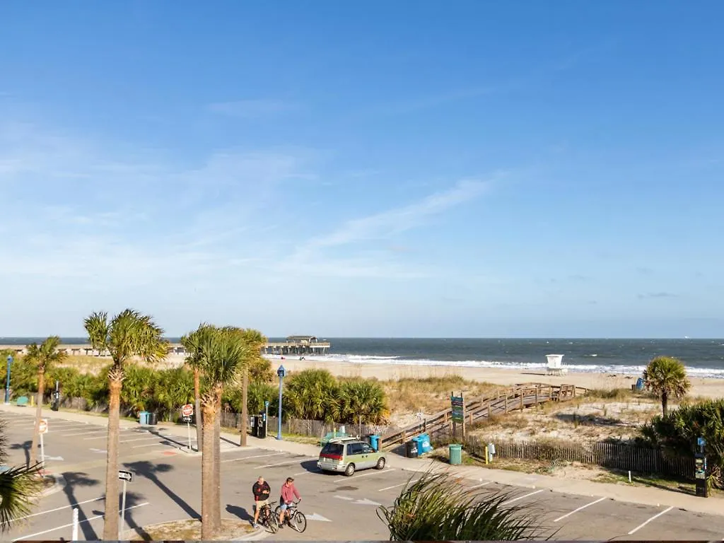 Dolphin Watch 6 * Tybee Island