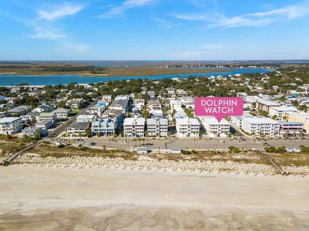 Dolphin Watch 6 * Tybee Island