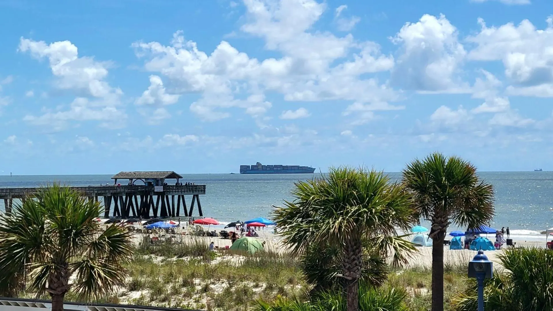 Dolphin Watch 05 By Tybee Vacation * Tybee Island