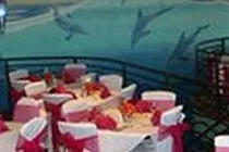泰碧岛海洋广场海滩度假店
